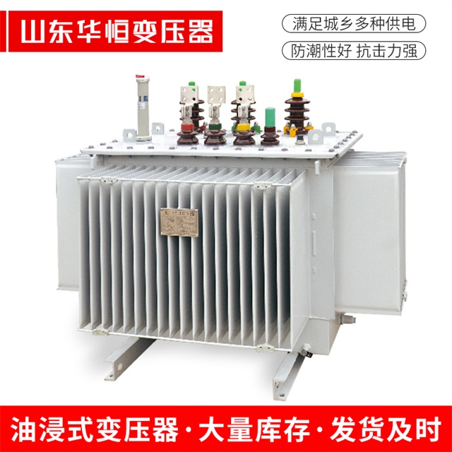 S13-10000/35剑阁剑阁剑阁电力变压器